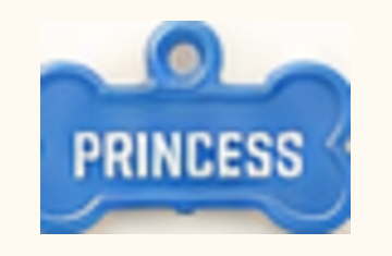 Blue Princess InSyncPets smart tag