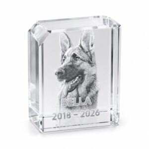 Extra QR/NFC Pet Tag