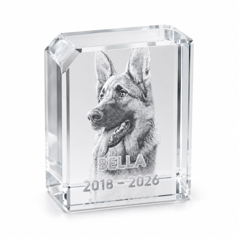 Extra QR/NFC Pet Tag